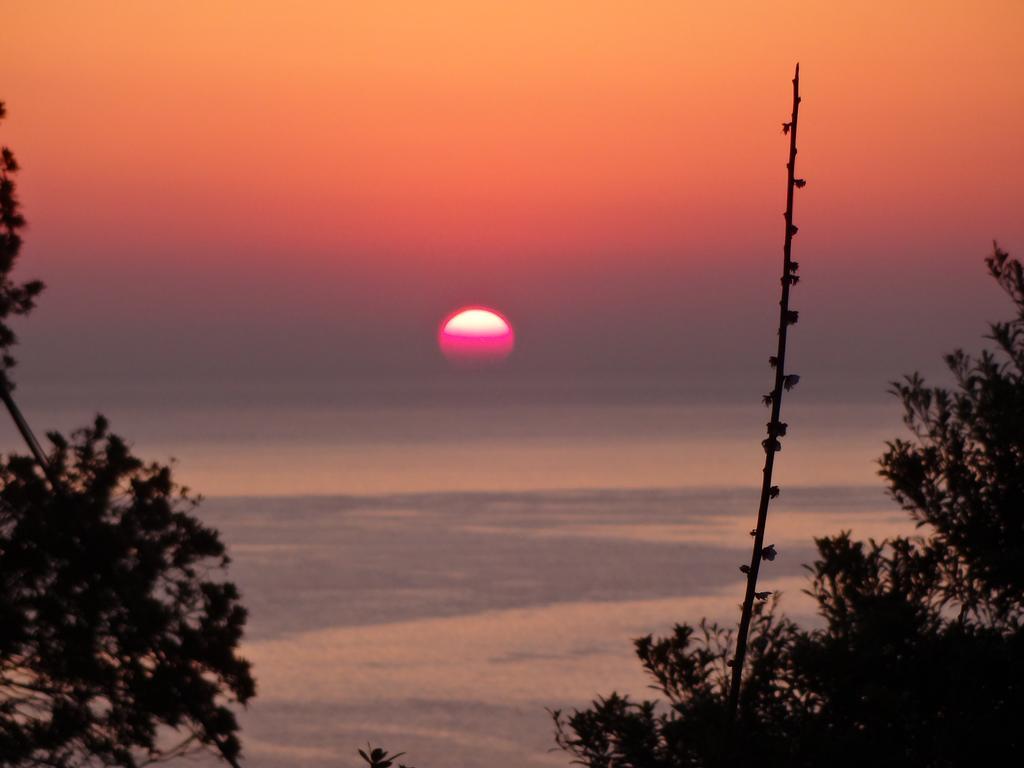 Ryokan Izuna Atami  Exteriér fotografie